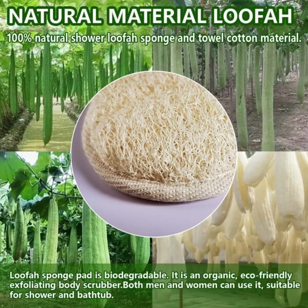 Natural Loofah Sponge Exfoliating Body Scrubber, Made with Eco-Friendly and Biodegradable Shower Luffa Sponge, Loofah for Women and Men, for Face and Body That Gets You Clean (2 Pack) - Image 2