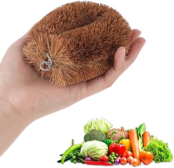 Ptwola 1 Pack Japanese Vegetable Brushes Natural Coconut Fiber Scrub Fruits Brushes Wooden Palm Dish Cleaner Brush with Hanging Loop for Potato Sink Kitchen Household Cast Iron Pan Pots