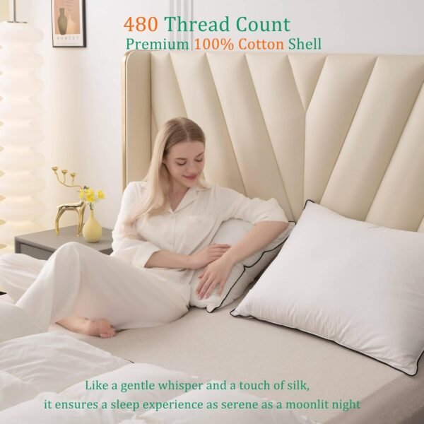 Luxury White Goose Down Pillows Standard Size - 750+ Fill Power - 480 Thread Count 100% Cotton Shell - Soft and Support Down Bed Pillow for Back, Side, Stomach Sleepers -Pack of 1 (20 x 26”) - Image 4