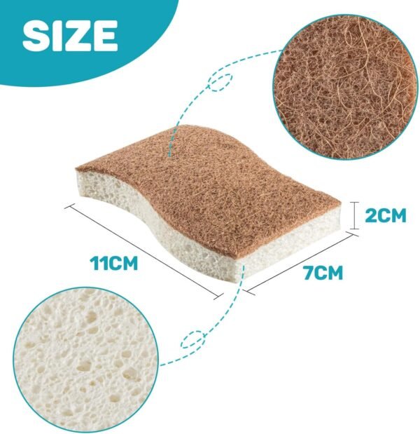 10PCS Natural Sponges for Dishes - Biodegradable Sponges Kitchen Eco Friendly Dish Sponge Non-Scratch Sponges for Cleaning Kitchen - Image 2