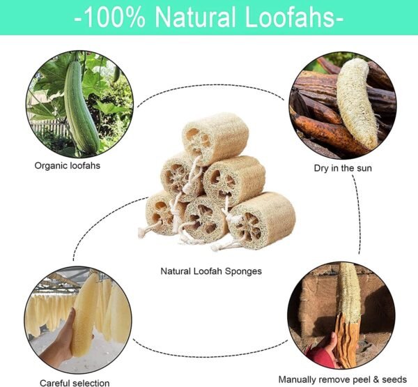 Natural Loofah Sponge Shower Organic Luffa Bath Loofa Exfoliating Body Scrubber Loofah for Men Women Adults Back Face Body Skin SPA Care - 6 Pieces - Image 2