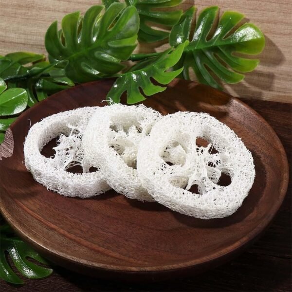 10pcs Natural Loofah Luffa Loofa Slices Handmade Reusable Natural Loofah Cuts for Cleaner Sponge Scrubber, Sponge Soap Dishes for Bar Soap Facial Soap Holder, 1.96in-2.75in - Image 6