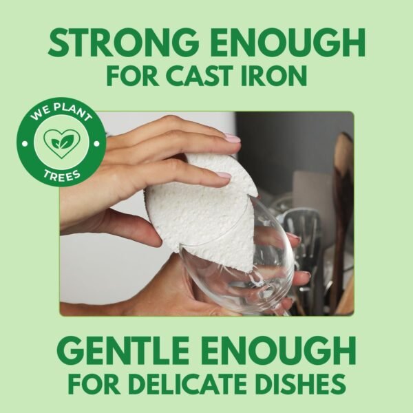 Biodegradable Natural Dish Sponges Kitchen Pack of 6 - Leaf and S-Shaped Coconut and Cellulose Sponges for Dishes and Surfaces - Eco Friendly Non-Scratch Heavy Duty Dish Scrubber Sponges Bulk - Image 3