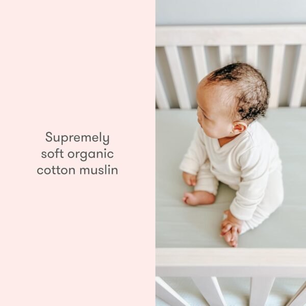 Newton Baby Organic Fitted Crib Sheets (2-Pack) - 100% Breathable and Ultra-Soft, 100% Organic Muslin Cotton, Fits All Standard Cribs, White… - Image 5