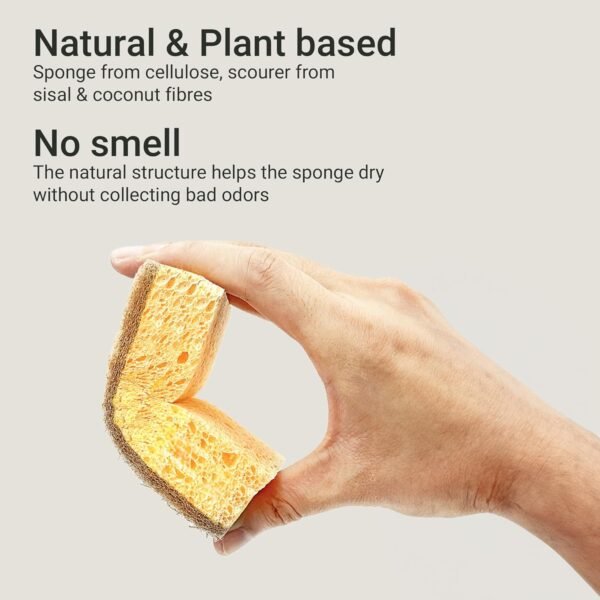 Premium Natural Kitchen Sponge | Non Scratch | Long Lasting | Waste Free | Washing up Kitchen | Natural Fiber | Eco-Friendly | Earth Friendly | Vegan | 6 Pack - Image 2