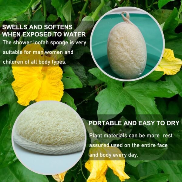 Natural Loofah Sponge Exfoliating Body Scrubber (2 Pack),Made with Eco-Friendly and Biodegradable Shower Luffa Sponge, Loofah for Women and Men, Beige (2) - Image 6