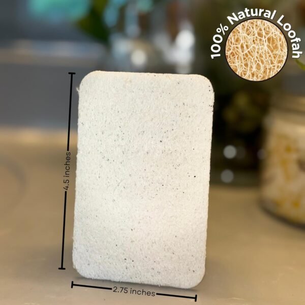 Loofah Sponges 100% All Natural BPA Free Loofahs for Dishes, Face, Soap Making, Shower, Exfoliating Eco-Friendly Biodegradable 30 Pack Compressed (Loofah) - Image 2
