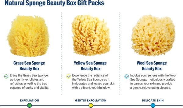 Delicate Skin Wool Sea Sponge 4 in | Real Natural Sponges for Body and Face Gentle Care | Luxurious Lather - Image 4