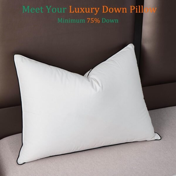Luxury White Goose Down Pillows Standard Size - 750+ Fill Power - 480 Thread Count 100% Cotton Shell - Soft and Support Down Bed Pillow for Back, Side, Stomach Sleepers -Pack of 1 (20 x 26”) - Image 2