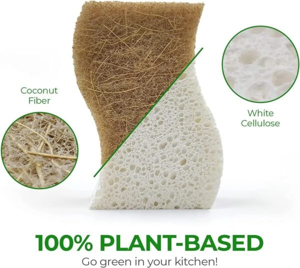 Graham & Ash Co 6 Pack Biodegradable Sponges - Sponges Kitchen Natural Sponges for Dishes Natural Sponge Dish Sponge - Eco Friendly Sponges Natural Kitchen Sponge (6) - Image 4
