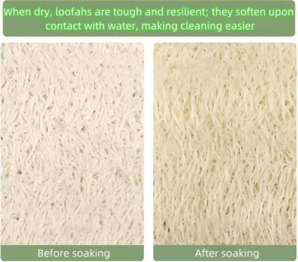3-Pack Natural Loofah Dish Sponges - Biodegradable Cellulose Scrub Sponges for Kitchen, Bathroom, Household - Dual-Sided, Reusable, Non-Scratch Cleaning - Image 4