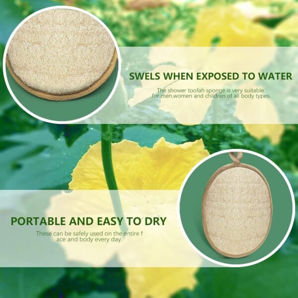 Natural Loofah Exfoliating Body Scrubber, Made with Eco-Friendly and Biodegradable Shower Luffa Sponge, Bath Shower Loofah Sponge for Women and Men, for Face and Body - Image 5