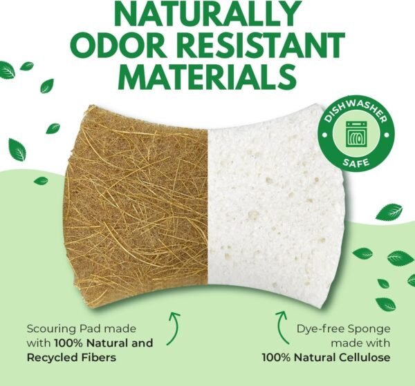 Biodegradable Natural Dish Sponges Kitchen Pack of 12 - Coconut and Cellulose Sponges for Dishes and Surfaces - Eco Friendly Non-Scratch Heavy Duty Dish Scrubber Sponges Bulk for Household - Image 4