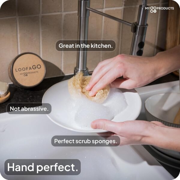 LoofaGO All-Purpose Natural Loofah Scrub Sponges, Biodegradable, Eco-Friendly for Kitchen, Shower, Bath, Skin, Facial, Body, and More (Pack of 10) - Image 4