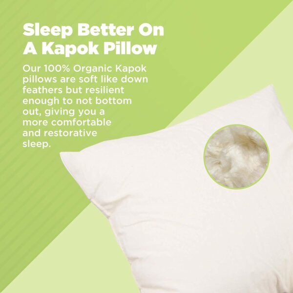 Bean Products Kapok Pillow - 18 x 18 Euro Size, Organic Cotton, Vegan, Premium Quality - Made in USA Neck Bed Body Floor Cushion Insert Couch Throw Bolster - Organic Eco Friendly Fabric and Fill - Image 2