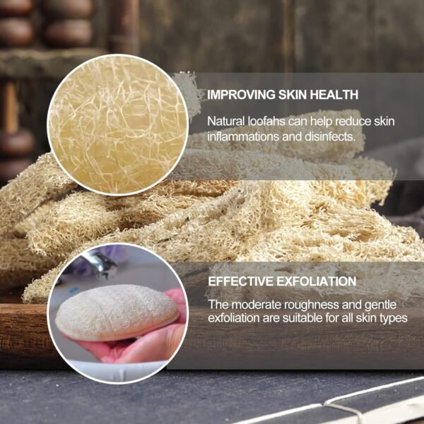 Large Natural Shower Loofah Sponge 7x5 inch, Exfoliating Body Scrubber, Premium Bath Sponge for Women and Men, Natural Luffa Made with Eco-Friendly and Biodegradable Large Lufas Pad 3 Packs - Image 2