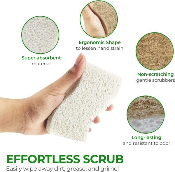 Natural Kitchen Sponges Pack of 6 - Cellulose and Coconut Husk Dishwashing Sponges - Odor Free Non Scratch Walnut Scrubber Sponges - Eco Friendly Quick Drying Scrub Sponges for Washing Dishes - Image 8