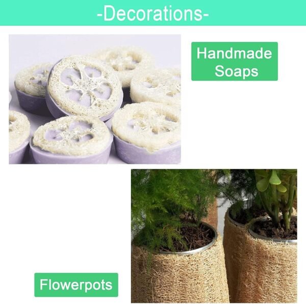 Natural Loofah Sponge Shower Organic Luffa Bath Loofa Exfoliating Body Scrubber Loofah for Men Women Adults Back Face Body Skin SPA Care - 6 Pieces - Image 6
