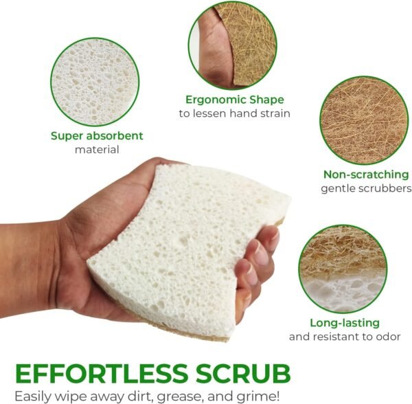 Biodegradable Natural Dish Sponges Kitchen Pack of 12 - Coconut and Cellulose Sponges for Dishes and Surfaces - Eco Friendly Non-Scratch Heavy Duty Dish Scrubber Sponges Bulk for Household - Image 8