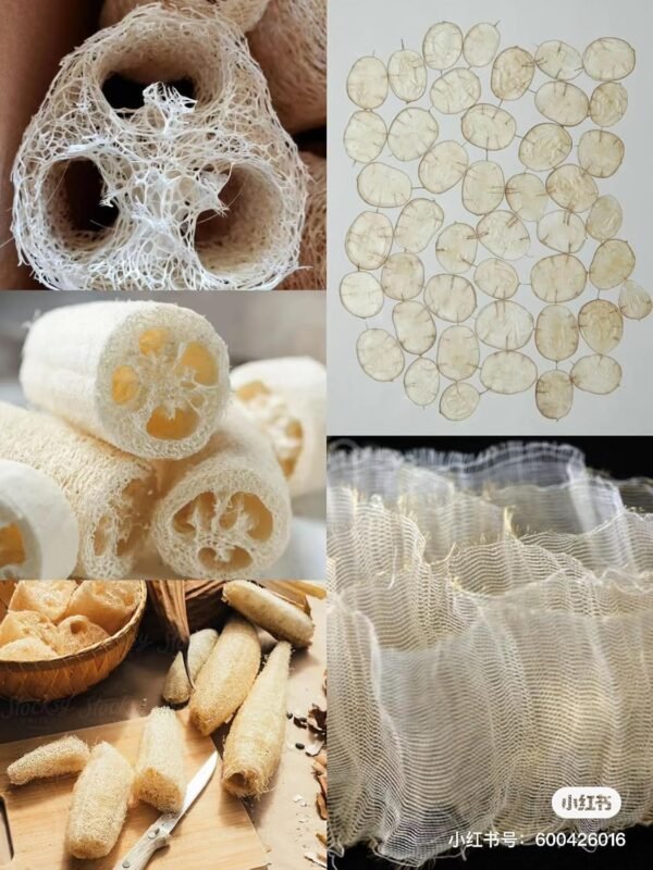 4"Plant Sponge 100% Natural Loofah Exfoliating Body and Face Sponge Scrubber for Skin Care in Bath Spa Shower Pack of 24 Made with Eco-Friendly and Biodegradable Shower Luffa Sponge - Image 8
