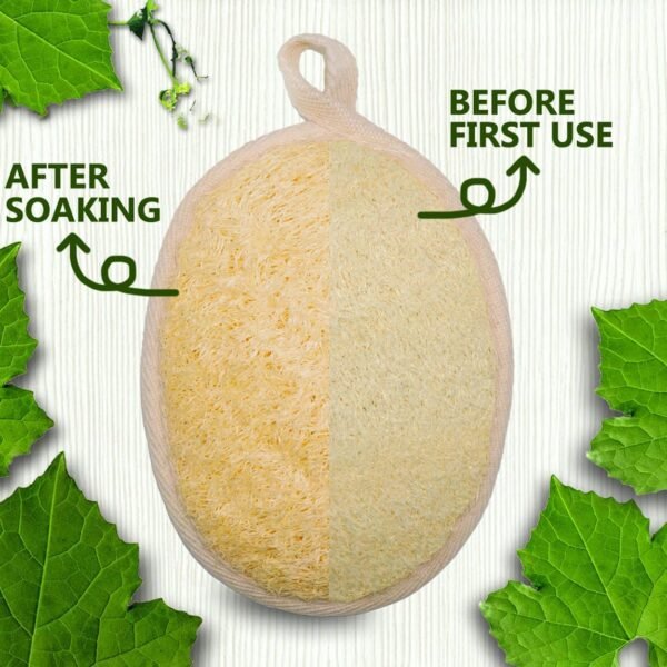 Natural Loofah Sponge Exfoliating Body Scrubber (2 Pack),Made with Eco-Friendly and Biodegradable Shower Luffa Sponge, Loofah for Women and Men, Beige (2) - Image 4