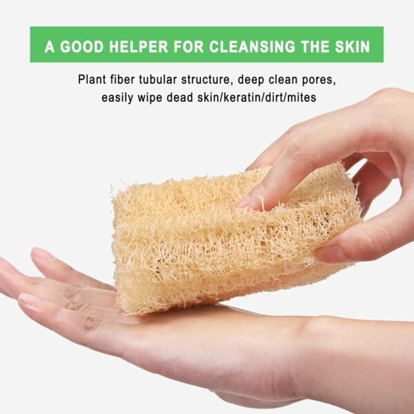 Natural Loofah Sponges Individually Wrapped, Non Scratch Organic Luffa Sponge, Odor-Free Biodegradable Dishwashing Sponge Natural for Kitchen Cleaning and Shower Scrubbing(8Pack) - Image 5