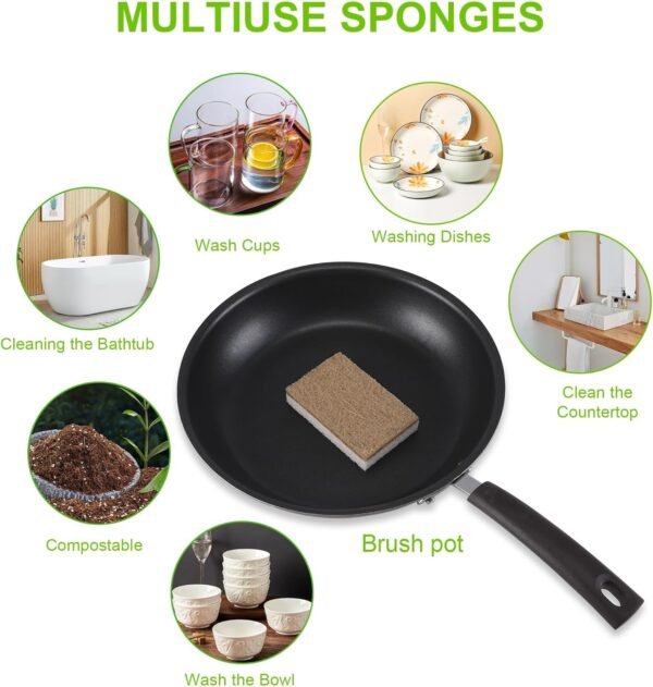 Natural Sponges for Dishes 12 Pack - Keep Soap Biodegradable Kitchen Sponge Compostable Coconut Scrubber - Eco Friendly Cleaning Sponges - Image 3