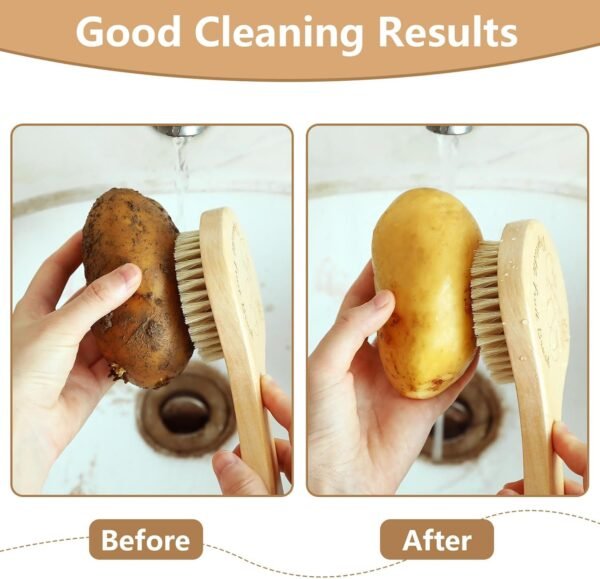SEPGLITTER Vegetable Brush, Cleaning Brush with Long Handle for Potato Carrot Cucumber and Fruits Veggie Wash Brushes Wooden Dish Brush for Pans Pots Fruits Vegetable - Image 4
