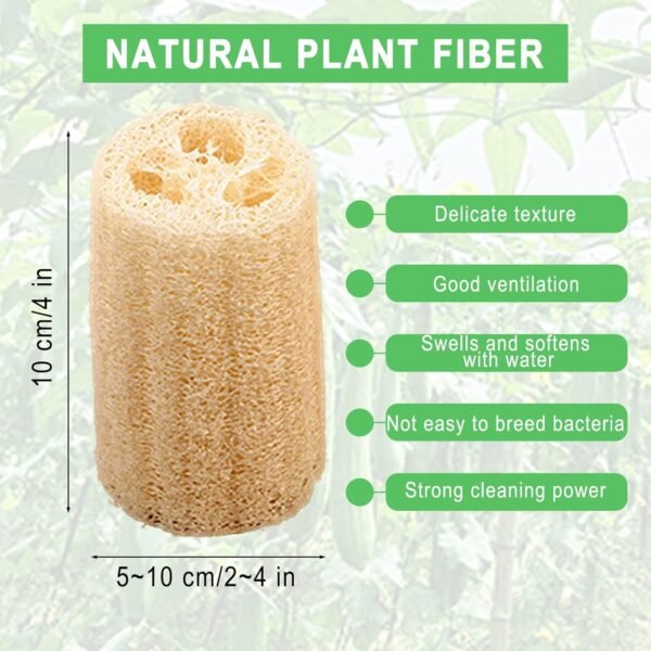 Natural Loofah Sponges Individually Wrapped, Non Scratch Organic Luffa Sponge, Odor-Free Biodegradable Dishwashing Sponge Natural for Kitchen Cleaning and Shower Scrubbing(8Pack) - Image 7