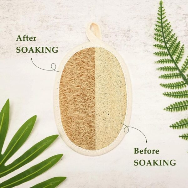 Loofah Sponge Shower Natural Loofah Exfoliating Body Scrubber for Women and Men, Eco-Friendly and Biodegradable Shower Luffa Sponge for Face and Body, Beige - Image 4
