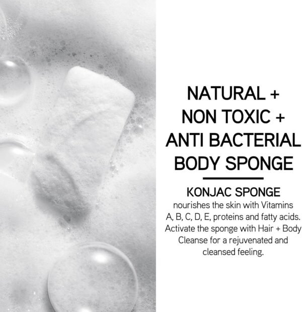 Iles Formula Body Sponge: Natural + Non-Toxic + Biodegradable + Anti-Bacterial Konjac Body Sponge to Optimize Soap Lather and Nourish The Skin with Vitamins A, B, C, D + E - Image 2