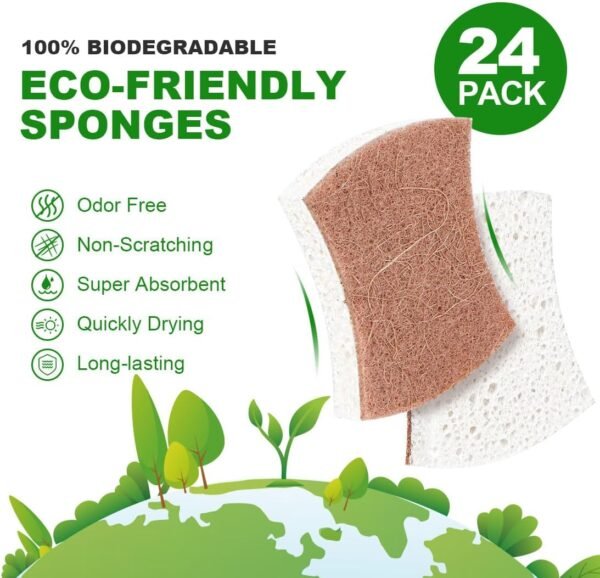 HOMEXCEL Natural Scrub Sponges Kitchen 24 Pack, Non-Scratch Cleaning Sponges for Dishes, Cellulose Sponges Safe on Non-Stick Cookware, Dual Sided Dish Sponge for Washing Dishes, Kitchen and Household - Image 2