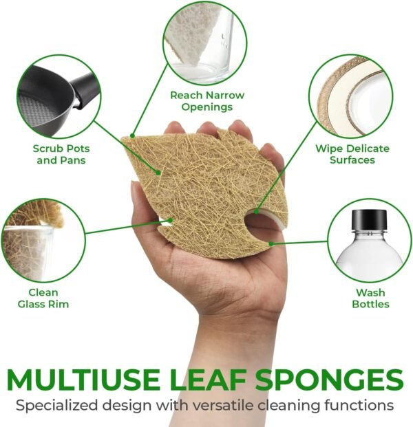 Biodegradable Natural Dish Sponges Kitchen Pack of 6 - Leaf and S-Shaped Coconut and Cellulose Sponges for Dishes and Surfaces - Eco Friendly Non-Scratch Heavy Duty Dish Scrubber Sponges Bulk - Image 6