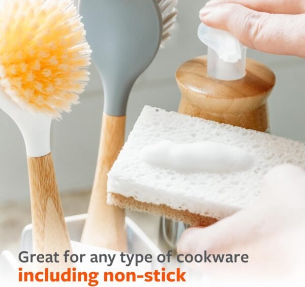 Full Circle In A Nutshell Walnut Scrubber Sponges – Pack of 2 Non-Scratch Natural Kitchen Scrubbies for Dishes and Household Cleaning - Image 4