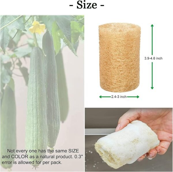 Natural Loofah Sponge Shower Organic Luffa Bath Loofa Exfoliating Body Scrubber Loofah for Men Women Adults Back Face Body Skin SPA Care - 6 Pieces - Image 8