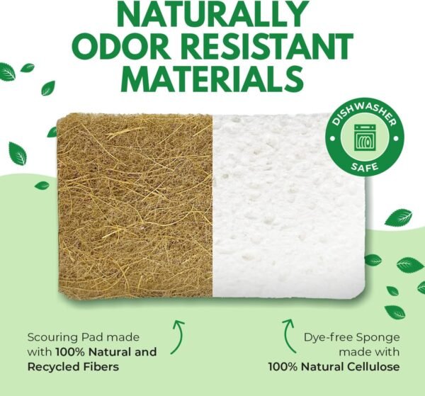 Natural Kitchen Sponges Pack of 6 - Cellulose and Coconut Husk Scrub Sponges for Washing Dishes - Odor Free Non Scratch Walnut Scrubber Sponges - Eco Friendly Quick Drying Dishwashing Sponges - Image 4