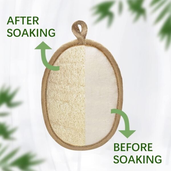 Natural Loofah Exfoliating Body Scrubber, Made with Eco-Friendly and Biodegradable Shower Luffa Sponge, Bath Shower Loofah Sponge for Women and Men, for Face and Body - Image 2
