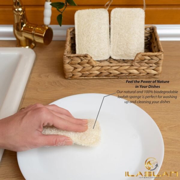 Natural Loofah Dish Sponge Scrubber | Eco-Friendly, Natural, Biodegradable and Reusable Dish Loofah Kitchen Sponge | 3 Count (1 Pack) - Image 5