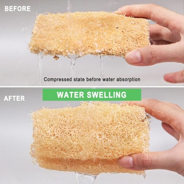 Natural Loofah Sponges Individually Wrapped, Non Scratch Organic Luffa Sponge, Odor-Free Biodegradable Dishwashing Sponge Natural for Kitchen Cleaning and Shower Scrubbing(8Pack) - Image 4