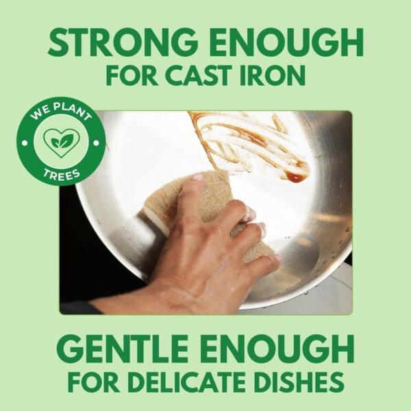 Biodegradable Natural Dish Sponges Kitchen Pack of 12 - Coconut and Cellulose Sponges for Dishes and Surfaces - Eco Friendly Non-Scratch Heavy Duty Dish Scrubber Sponges Bulk for Household - Image 3