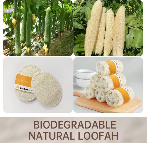 Natural Loofah Sponge, Organic Loofah, Eco-Friendly Luffa Biodegradable, Exfoliating Loofah Pad, All-Natural Body Scrubber, for Shower, Bath, Dead Skin Removal (3 Pack) - Image 2