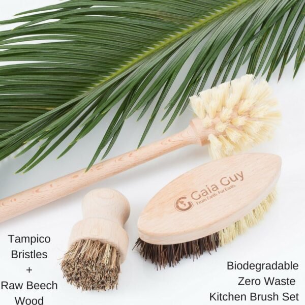 Wood and Tampico Bottle Brush - Pot Brush - Vegetable Brush Set - Zero Waste, Compostable & Biodegradable Kitchen Brushes - Image 3