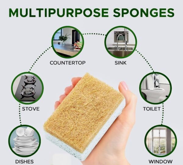 Biodegradable Kitchen Sponges 12-Pack - Natural Coconut Fiber & Cellulose, Eco-Friendly, Non-Scratch, Highly Absorbent Cleaning Sponges - Image 2