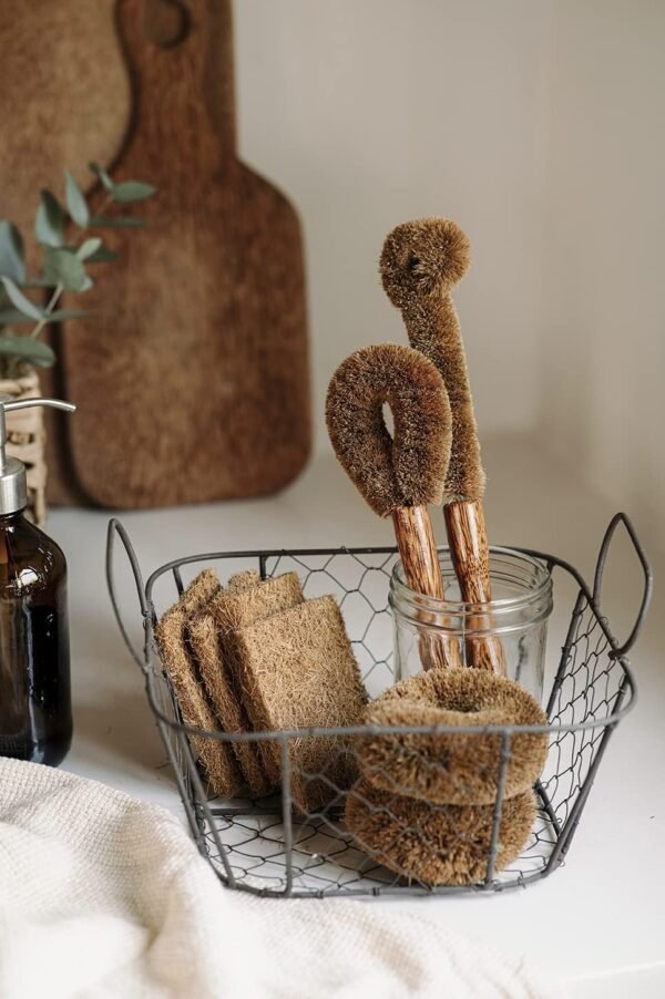Natural Coconut Srub Brush Set of 8, Cleaning Brush with Handle for Dish, Bottle, Vegetable, Pan, Pot, Planted Based Coconut Fibers, 8 pcs Kitchen Tool, Sturdy, Deep Cleaning - Image 3