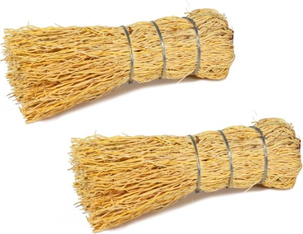 Brush Escobeta De Raiz Natural / Mexican Root Brush 5" ( Set of 2 )