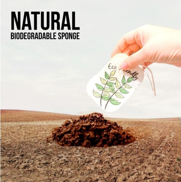 10PACK Natural Plant Based Biodegradable Eco-Friendly Cellulose Dish Sponges: Non Scratch, Multi-Purpose Kitchen,Household,Bathroom Cleaning Sponges - Image 4