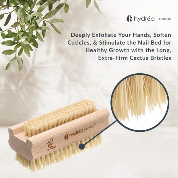 Hydrea London Nail Brush - Double-Sided Pedicure & Manicure Brush with Natural Cactus Bristles - 100% Vegan Hand Scrub, Fingernail Cleaner, & Tough Toenail Cleaning Scrubber - FSC® Certified Beechwood - Image 6