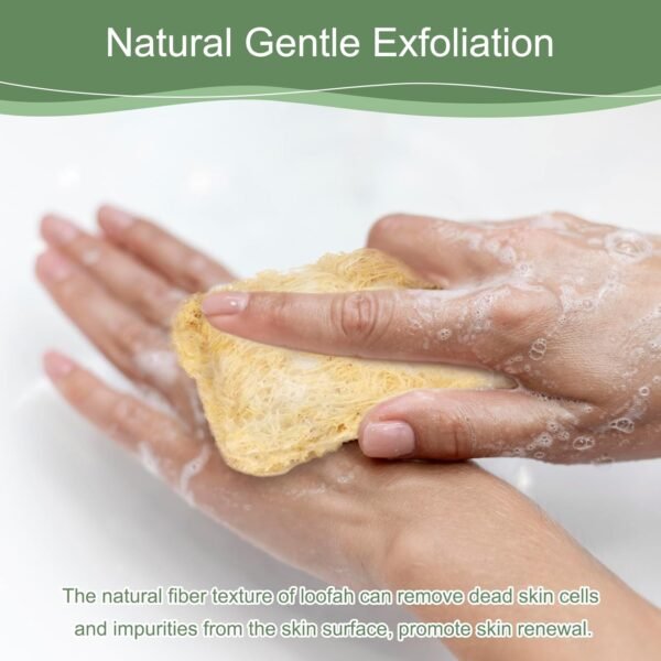Natural Loofah Kitchen Sponges, 6Pcs Reusable Scrubber for Dish, Biodegradable Compostable Non Scratch Cleaning Luffa Sponge for Kitchen, Bathroom, Household (Rectangular) - Image 6