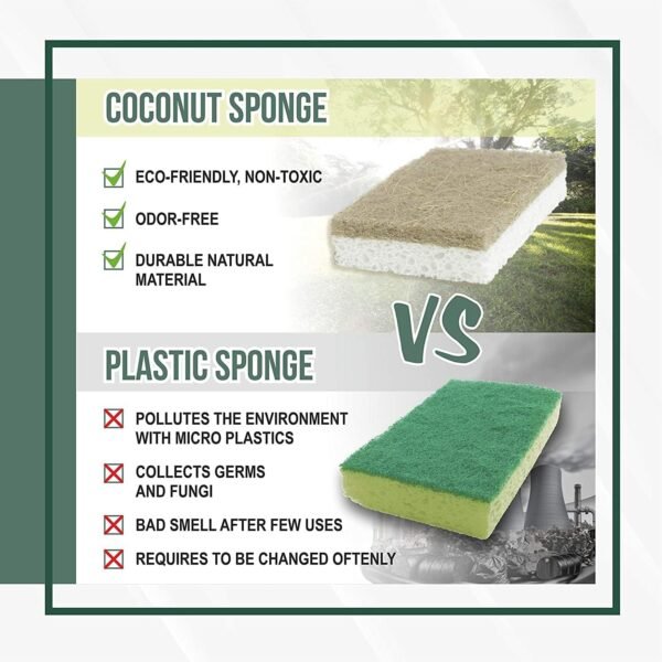 Graham & Ash Co Natural Kitchen Sponge - Biodegradable Compostable Cellulose and Coconut Scrubber - Pack of 10 Eco Friendly Sponges - Image 8