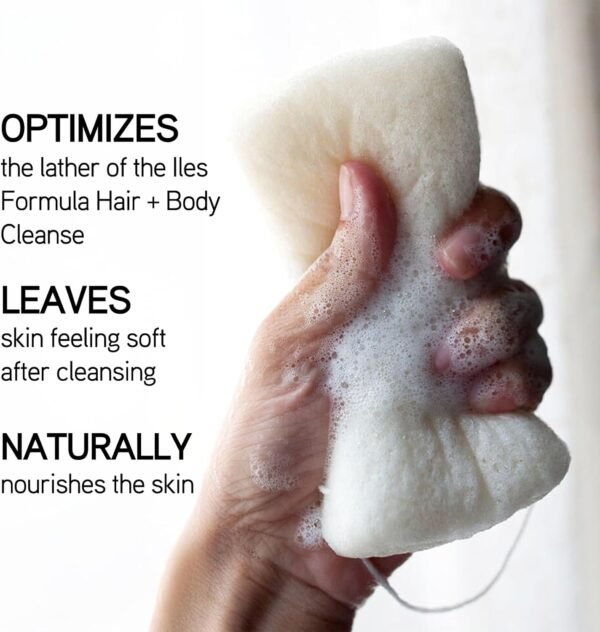 Iles Formula Body Sponge: Natural + Non-Toxic + Biodegradable + Anti-Bacterial Konjac Body Sponge to Optimize Soap Lather and Nourish The Skin with Vitamins A, B, C, D + E - Image 3